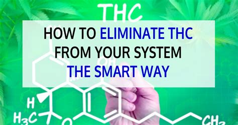 Does niacin clean thc. Things To Know About Does niacin clean thc. 
